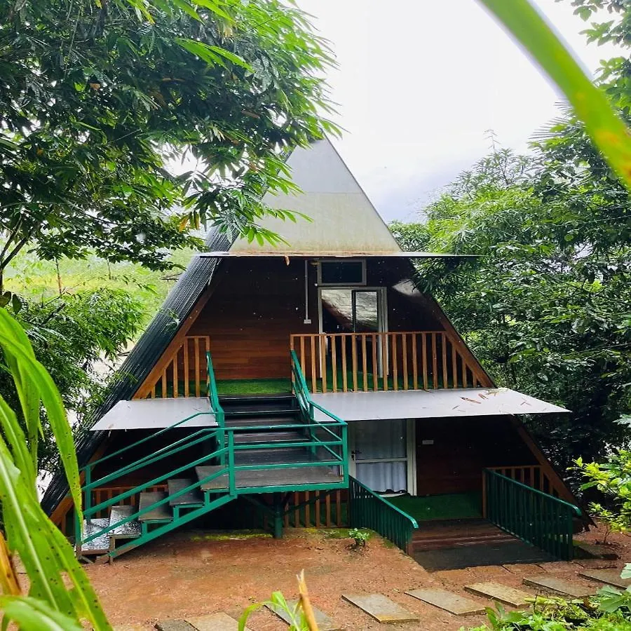 Misty Morning Resorts Wayanad Ambalavayal