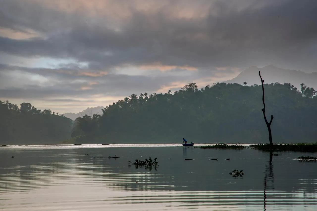 Misty Morning Resorts Wayanad Ambalavayal